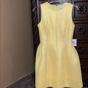 NWT!!!! Calvin Klein dress